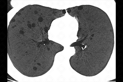 Texto alternativo para a imagem