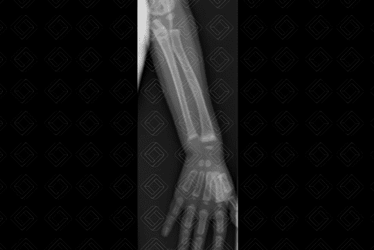 Texto alternativo para a imagem