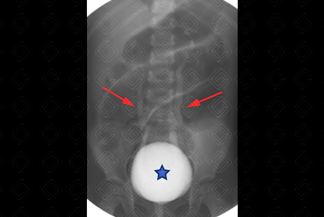 Texto alternativo para a imagem