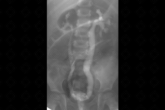 Texto alternativo para a imagem