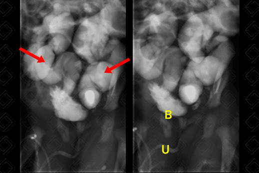 Texto alternativo para a imagem
