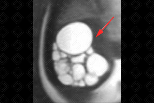 Texto alternativo para a imagem