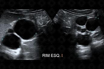 Texto alternativo para a imagem