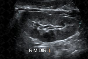 Texto alternativo para a imagem