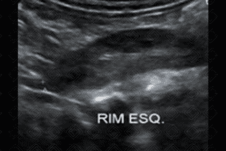 Texto alternativo para a imagem