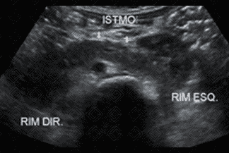 Texto alternativo para a imagem