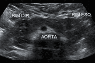 Texto alternativo para a imagem