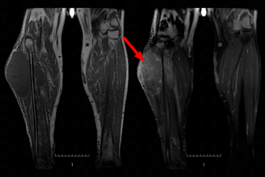 Texto alternativo para a imagem