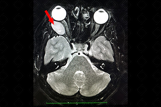 Texto alternativo para a imagem