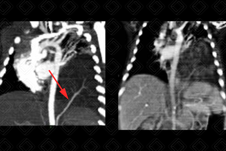 Texto alternativo para a imagem