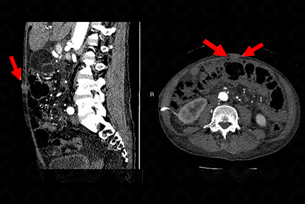 Texto alternativo para a imagem