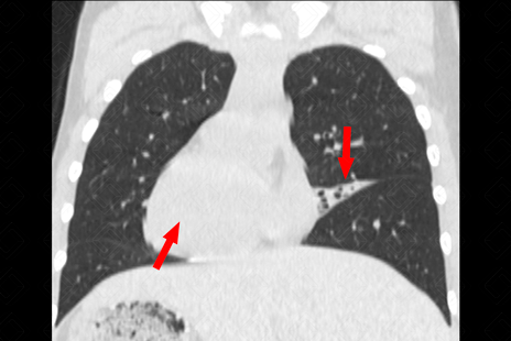 Texto alternativo para a imagem