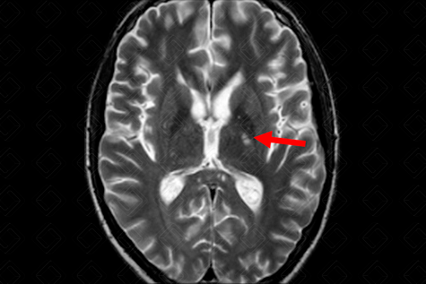 Texto alternativo para a imagem