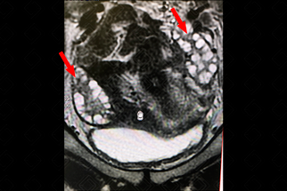 Texto alternativo para a imagem