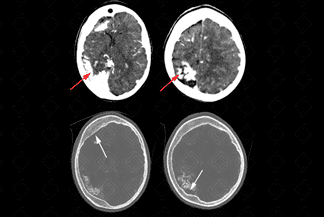 Texto alternativo para a imagem