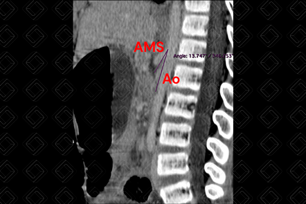 Texto alternativo para a imagem