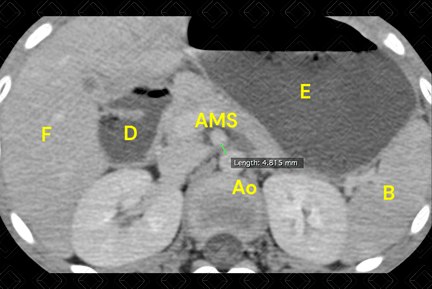 Texto alternativo para a imagem