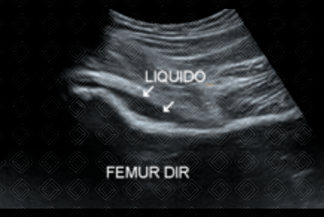 Texto alternativo para a imagem