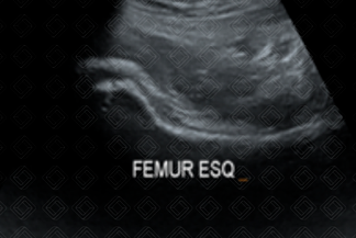 Texto alternativo para a imagem