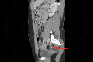 Texto alternativo para a imagem