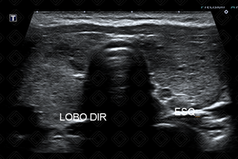 Texto alternativo para a imagem