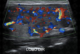 Texto alternativo para a imagem