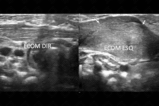 Texto alternativo para a imagem