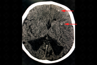 Texto alternativo para a imagem