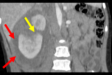 Texto alternativo para a imagem