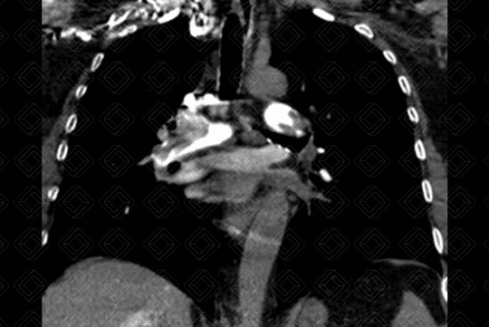 Texto alternativo para a imagem