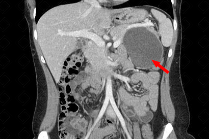 Texto alternativo para a imagem