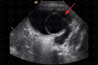 Texto alternativo para a imagem