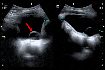 Texto alternativo para a imagem