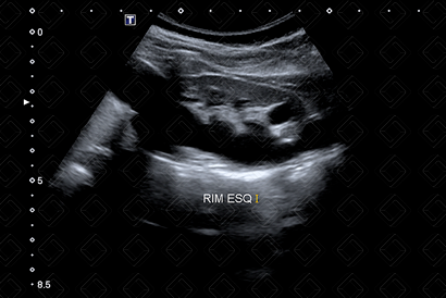 Texto alternativo para a imagem