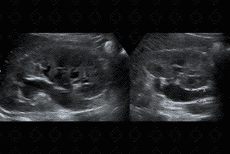 Texto alternativo para a imagem