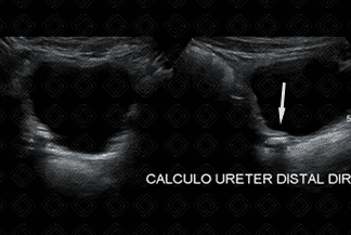 Texto alternativo para a imagem