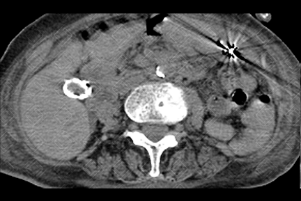 Texto alternativo para a imagem