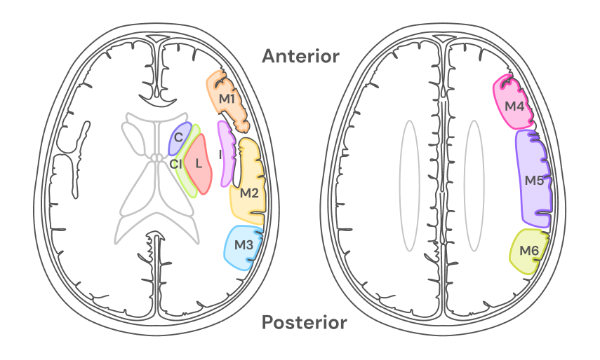 Texto alternativo para a imagem