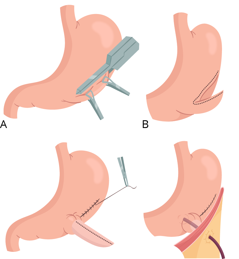 Texto alternativo para a imagem