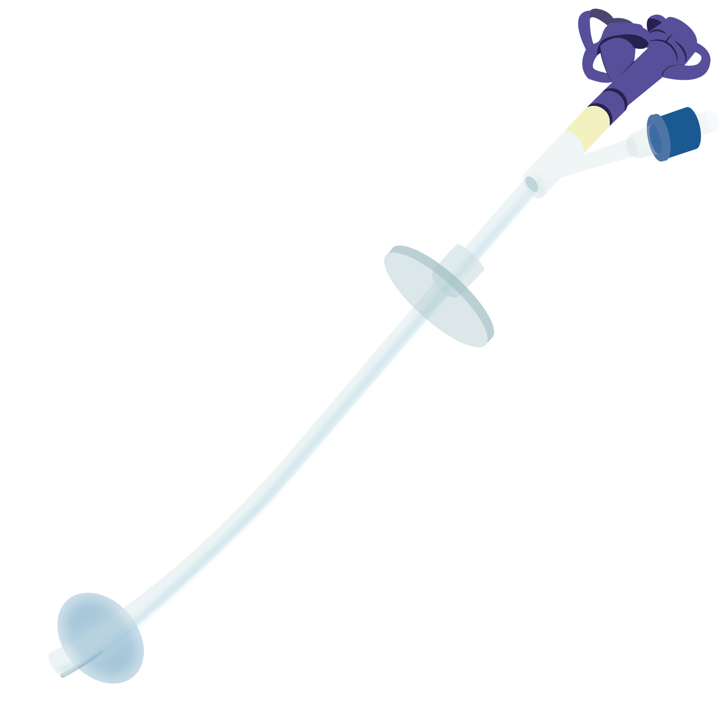 Texto alternativo para a imagem