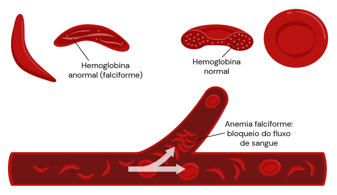 Texto alternativo para a imagem