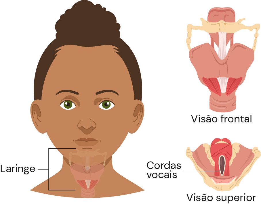 Texto alternativo para a imagem