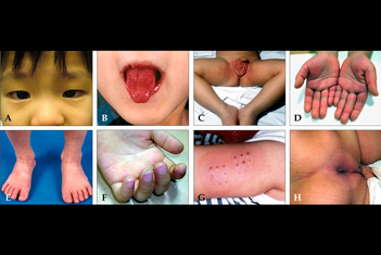 Texto alternativo para a imagem