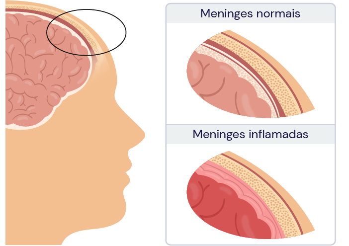 Texto alternativo para a imagem
