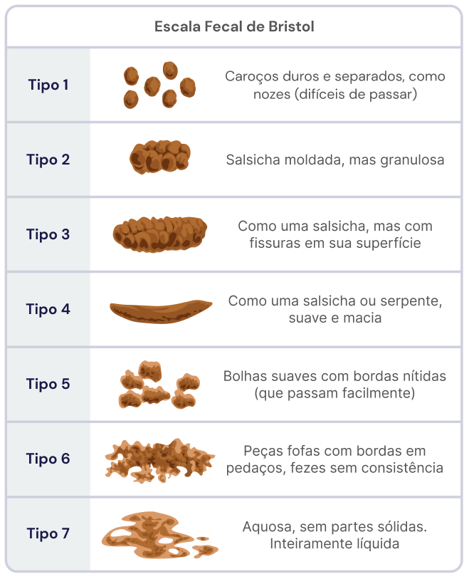 Texto alternativo para a imagem