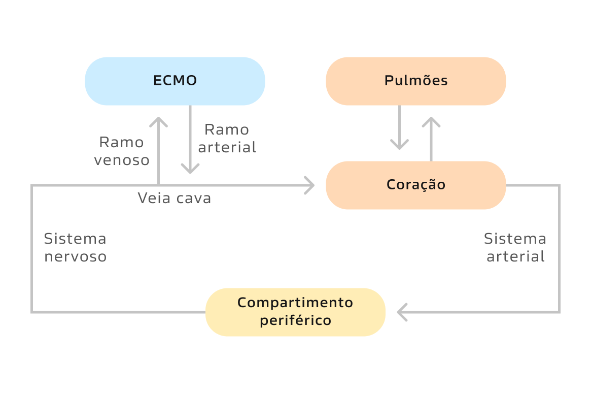 Texto alternativo para a imagem
