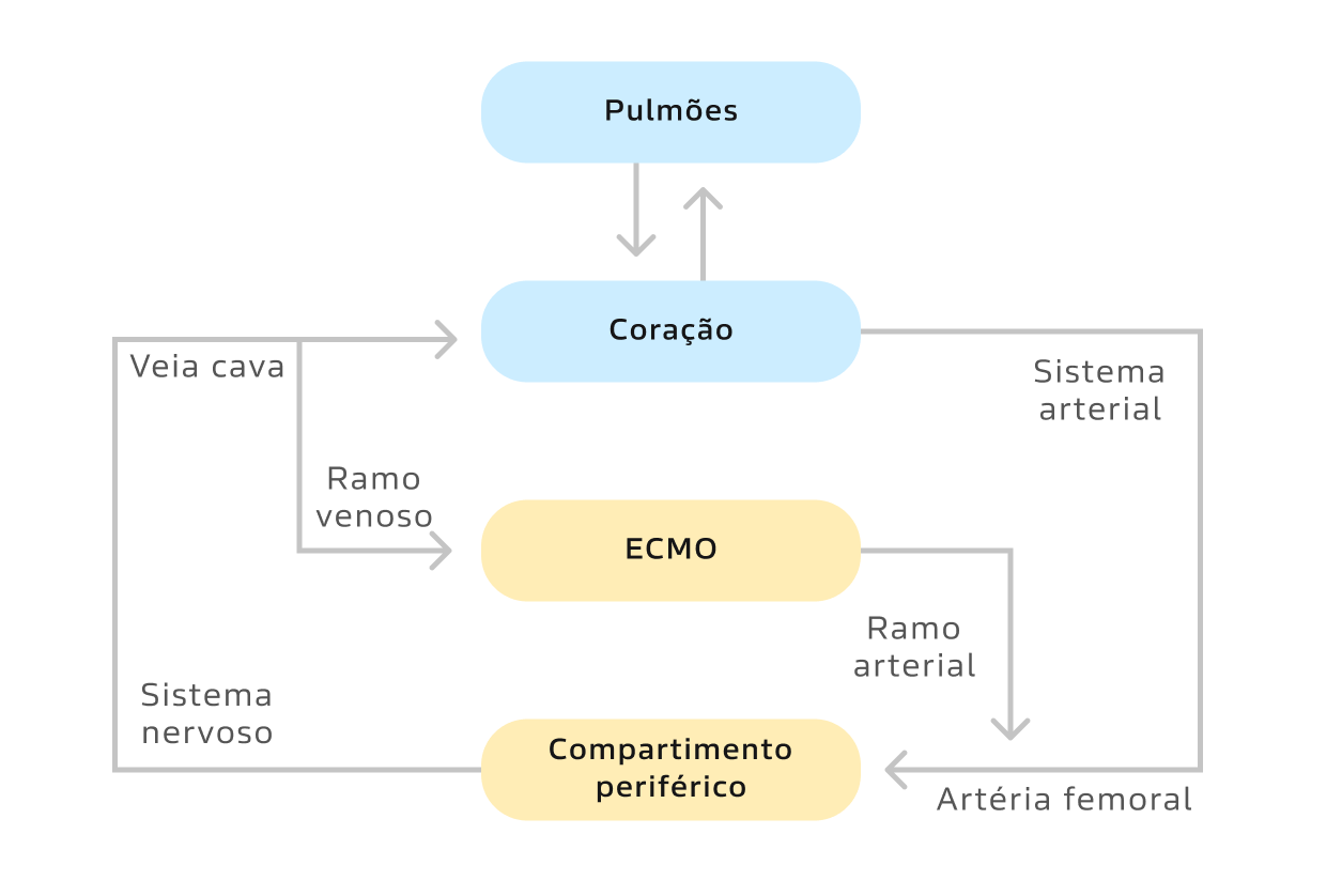 Texto alternativo para a imagem