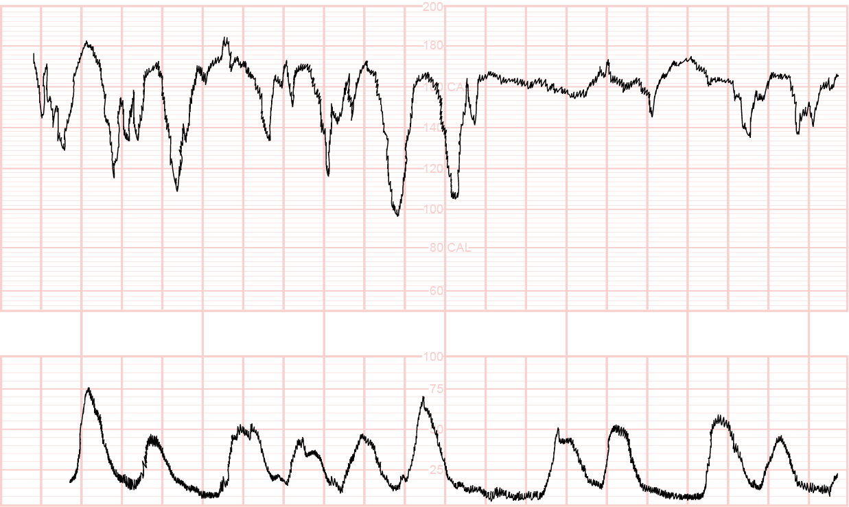Texto alternativo para a imagem
