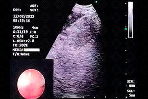 Texto alternativo para a imagem