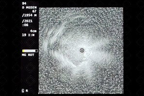 Texto alternativo para a imagem